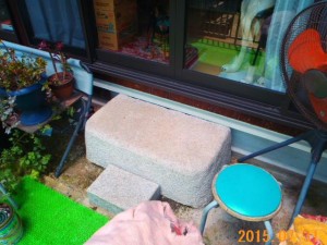 P7310031_2015-07-31_0008